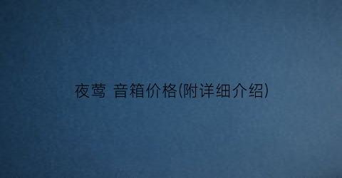 夜莺 音箱价格(附详细介绍)